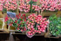 Amsterdam Bucket List Top 30 Unmissable Experiences