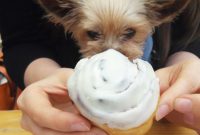 Bobs Bake Shop Paris: Unexpected Parisian Sweetness