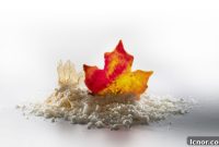 Your Weekly Spark