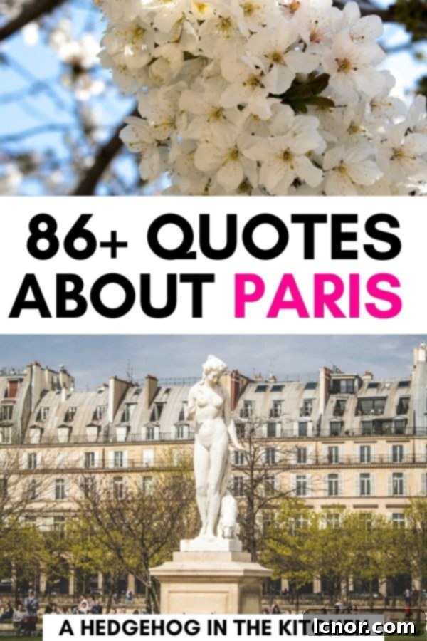 featured 6773