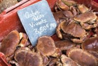 Boulogne-sur-Mer The Essential Travel Planner