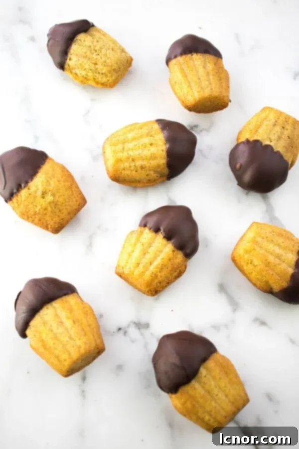 mini chocolate dipped madeleines on marble table