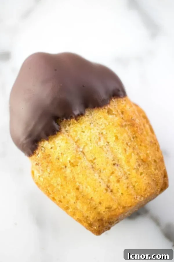 close up of a chocolate dipped madeleine