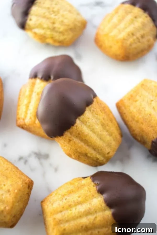 many French madeleines on  a marble table