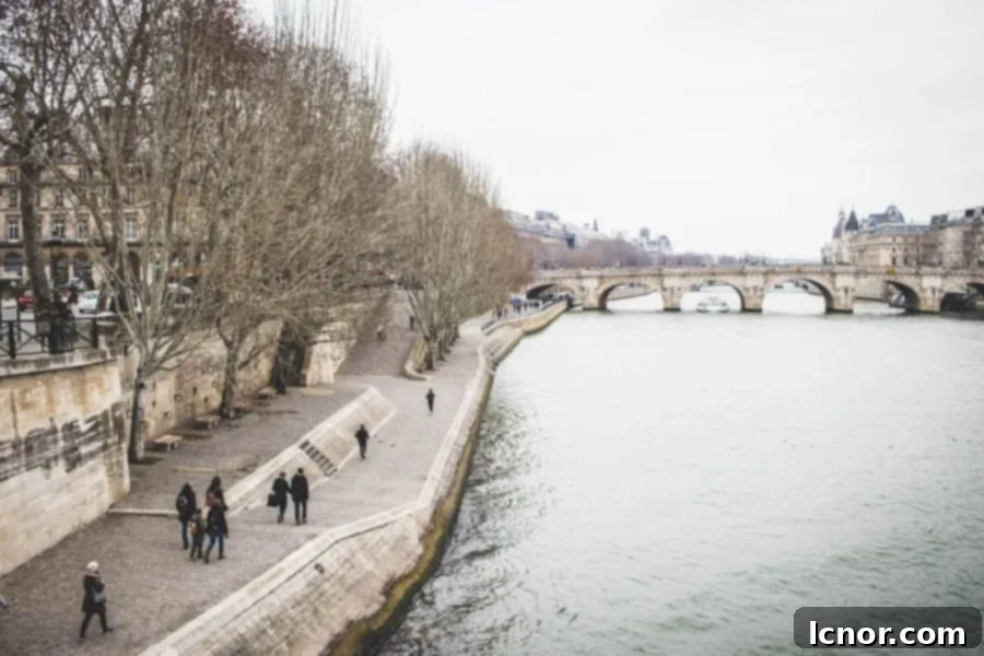 View of the Seine river in Paris with beautiful architecture, emphasizing the romantic winter atmosphere.