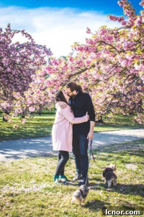 A couple kissing under a beautiful cherry blossom tree in Paris, a romantic free activity.