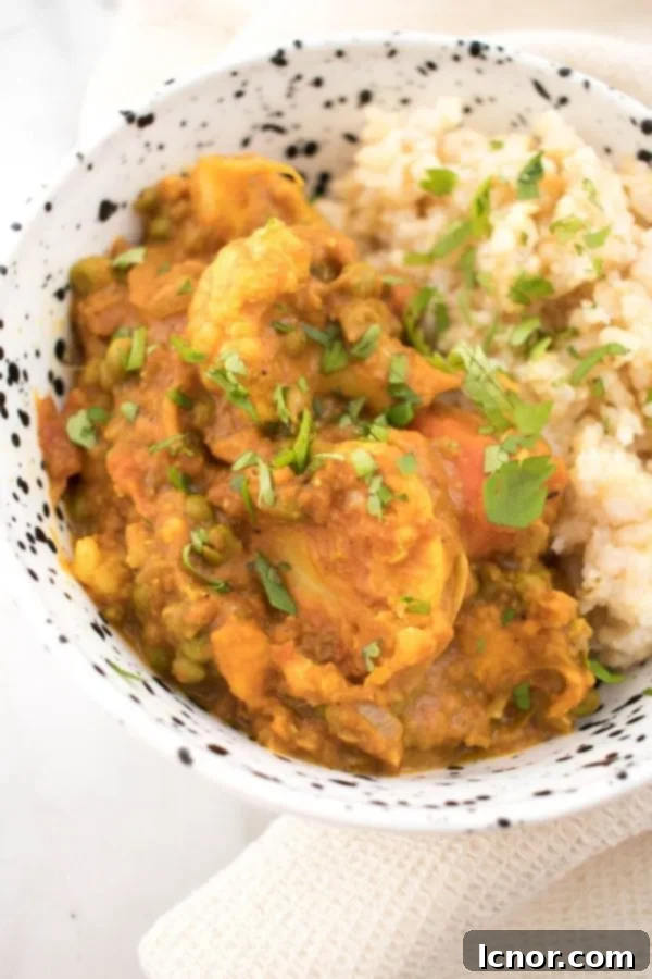 A close-up shot of a vibrant bowl of homemade Vegetable Tikka Masala, garnished with fresh cilantro, ready to be served.