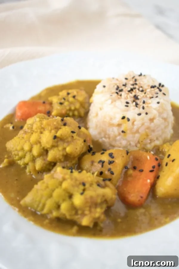 Delicious Plant Based Japanese Curry 5 close up of a Vegetarian Japanese Curry on a white plate