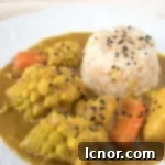 Delicious Plant Based Japanese Curry 6 img 11251 6 1
