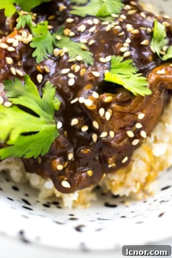 Close up of delicious Cantonese Chicken served with white rice in a bowl.