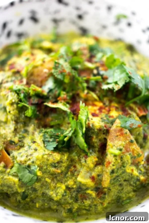A delicious serving of Chicken Saag (Palak Chicken) with fluffy basmati rice and a side of traditional Indian raita, perfect for a complete meal.