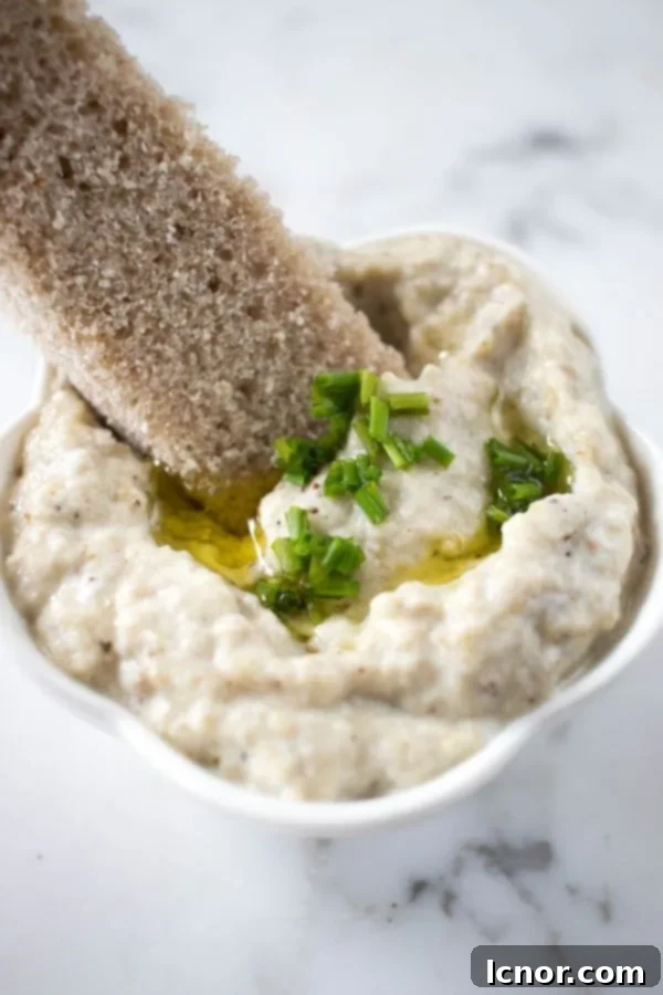 Smoky Melitzanosalata Greek Eggplant Dip 5 grainy bread dipped into melitzanosalata Greek eggplant dip