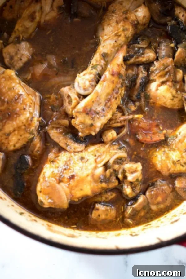 close up of a French chicken stew in a red Dutch Oven