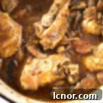 close up of a French chicken stew in a red Dutch Oven