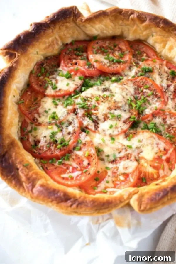 a homemade cheese and tomato tart
