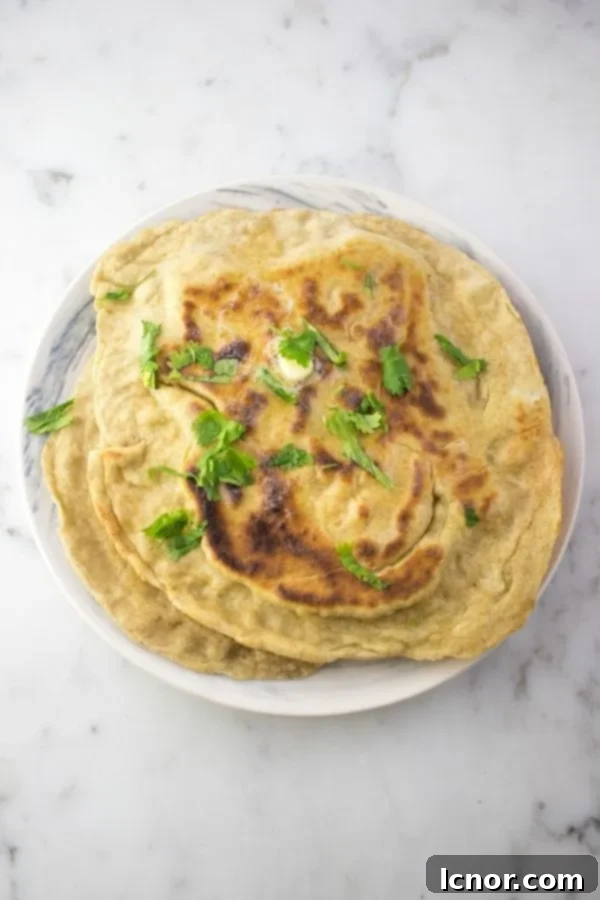 Sourdough Naan on a plate, showing its soft and bubbly texture.