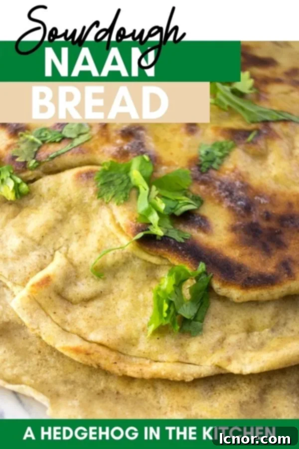 Sourdough Naan Bread - Pin for later image