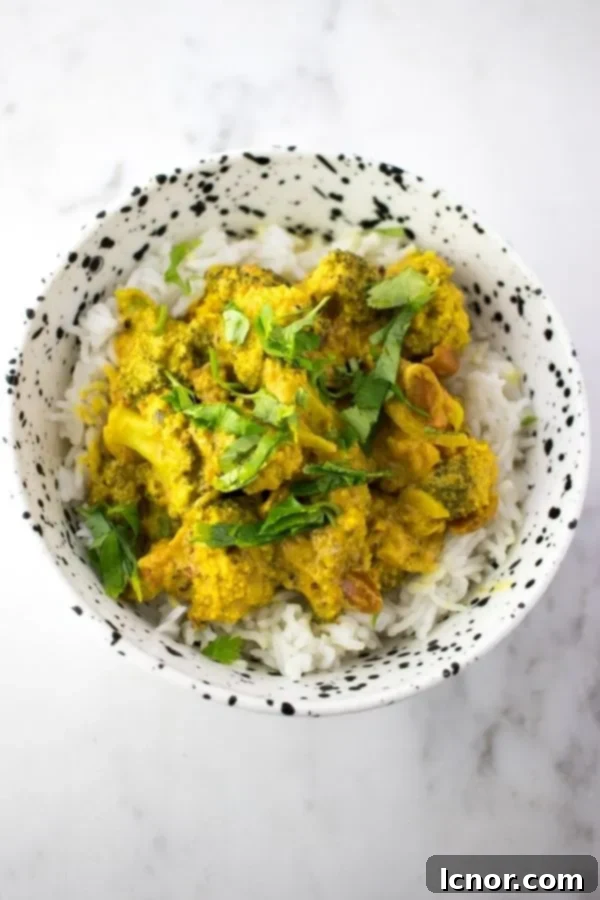 broccoli curry in a white and black bowl