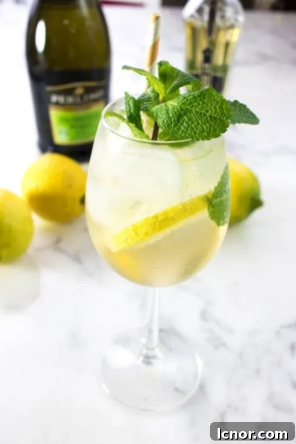 A Hugo Spritz cocktail with lemon, Prosecco and fresh mint, perfectly garnished for a refreshing drink