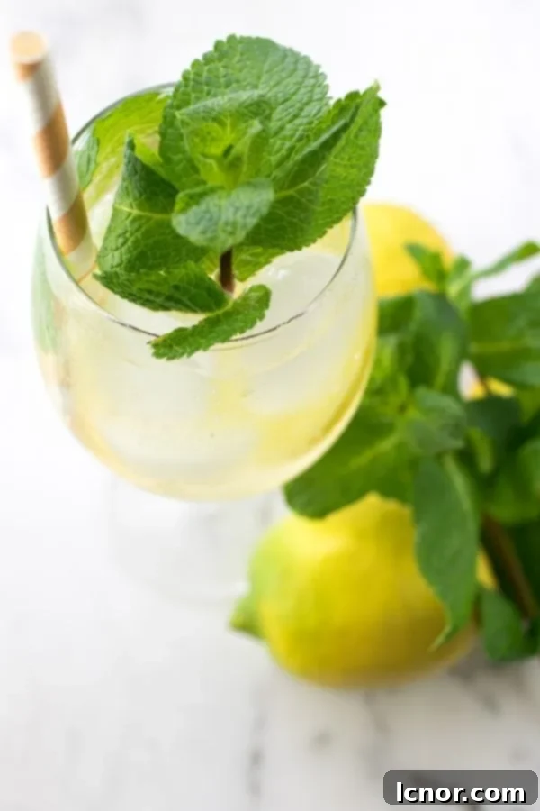 Overhead shot of a Hugo Spritz cocktail in a wine glass, garnished with lemon and fresh mint, glistening with ice and bubbles