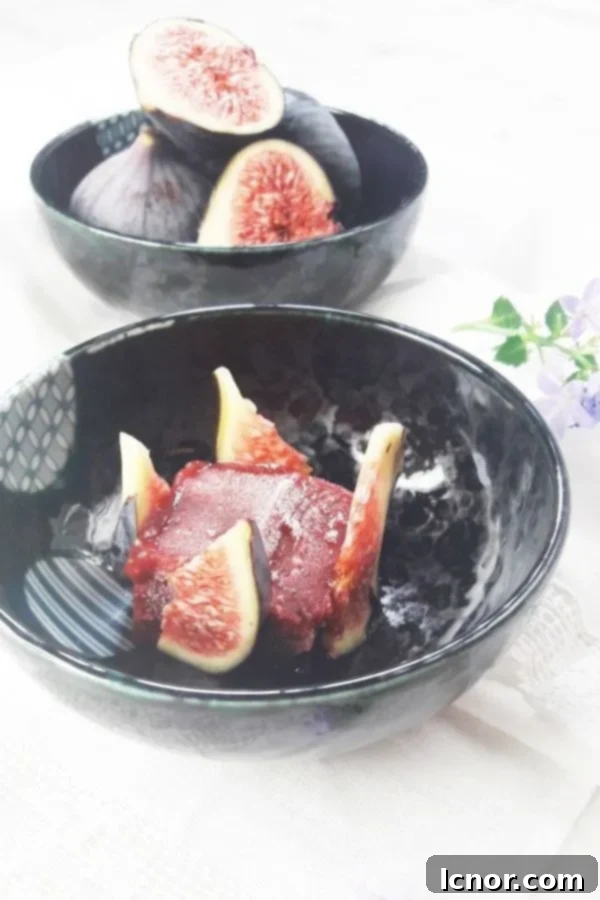 Scoops of vibrant Fig Sorbet in a glass, garnished with fresh mint.