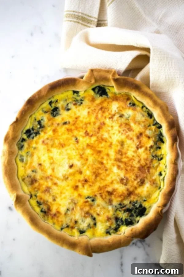 A slice of elegant Quiche Florentine, featuring spinach and cheese, on a plate.