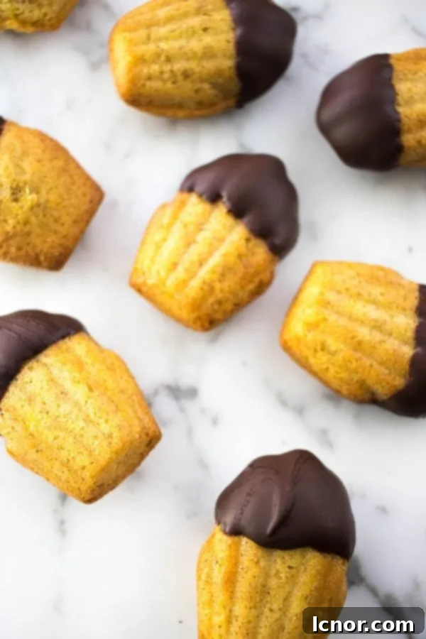 Delicate Chocolate Dipped Madeleines arranged on a plate.