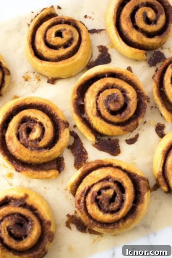 Raw Kanelsnegle cinnamon snails, cut and ready for second rise on parchment paper
