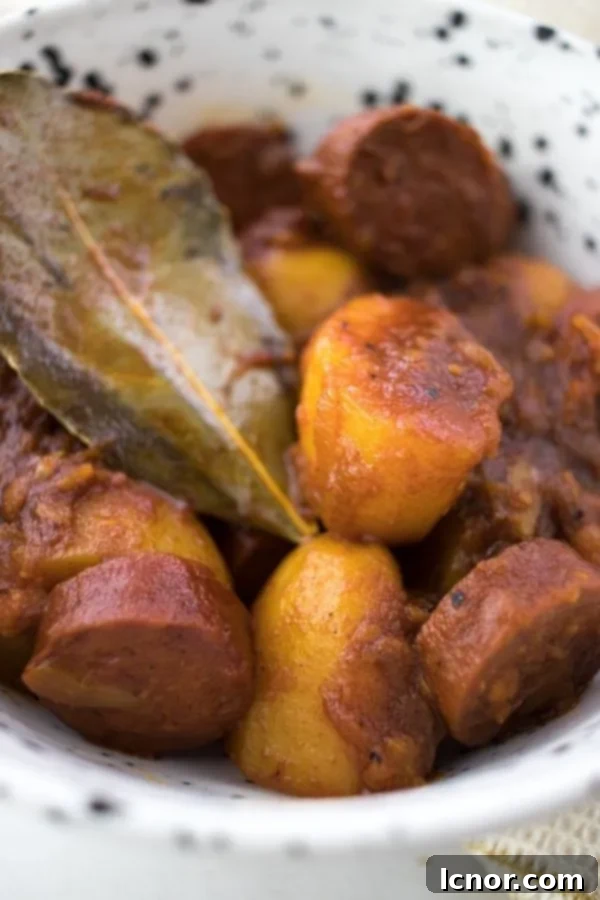 A serving of patatas riojana in a black and white bowl, showcasing the rich color