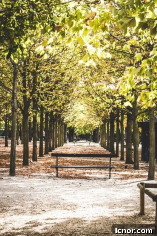 picnic in Paris in the Luxembourg Gardens