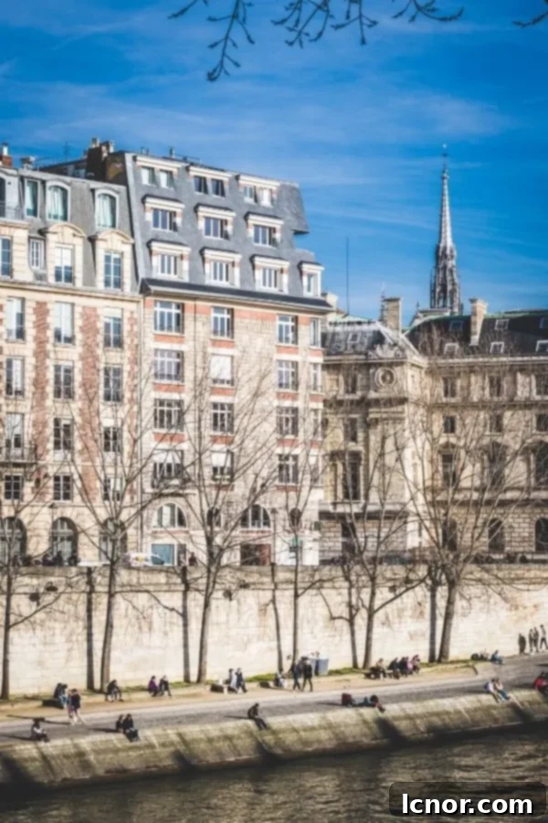 buildings along the banks of the Seine Paris