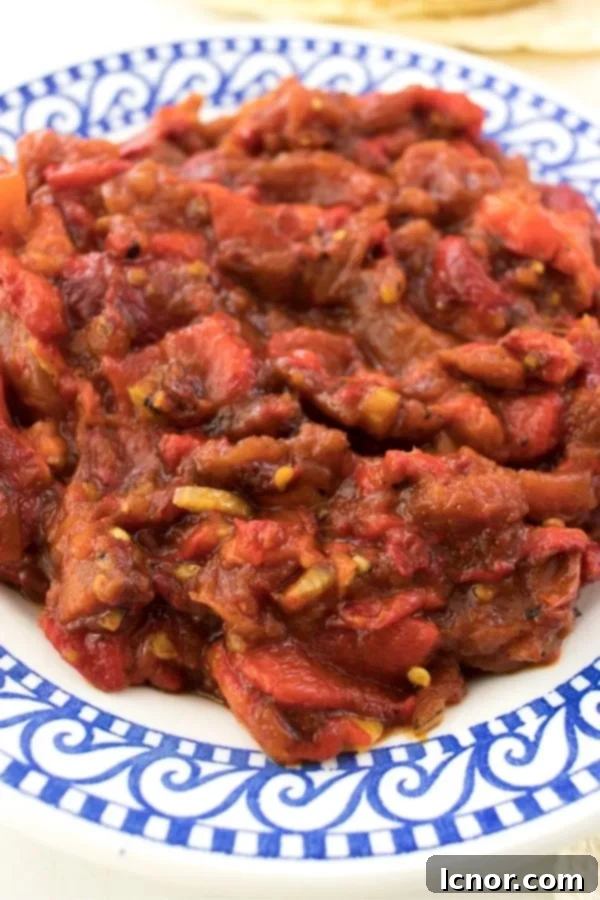Algerian red pepper dip on a white and blue plate