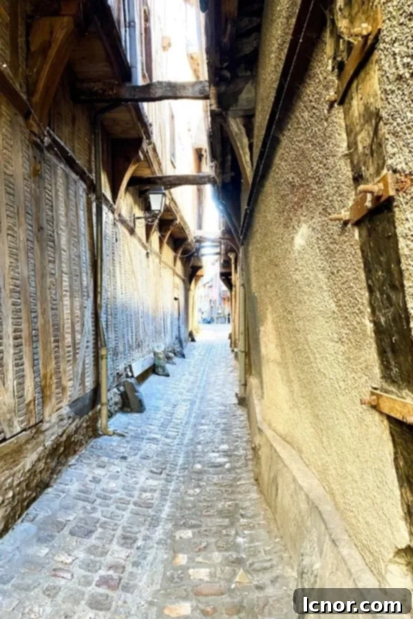 Visit the Ruelle des Chats - narrow street in Troyes France