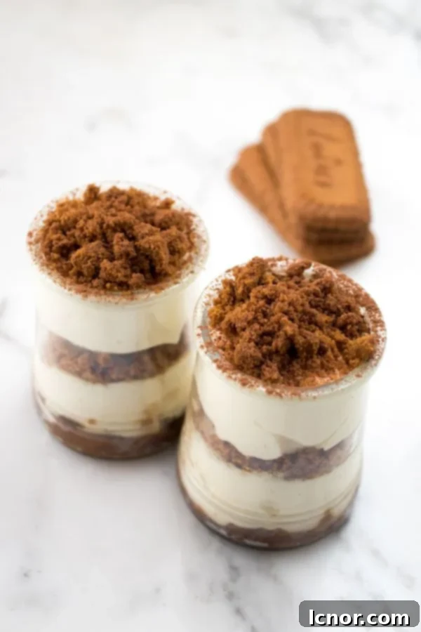 Ingredients for speculoos tiramisu, including speculoos biscuits, eggs, and mascarpone cheese.