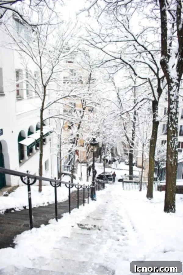 Montmartre in the snow, a picturesque scene in Paris in February