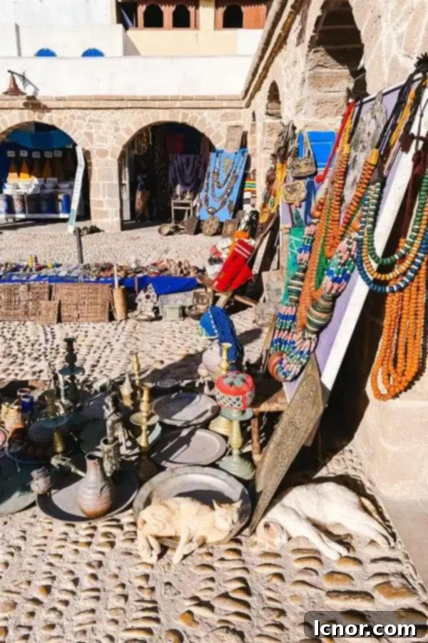 Two relaxed cats sitting on a doorstep in Souk Jedid, Essaouira, offering a glimpse into local life and charming atmosphere.