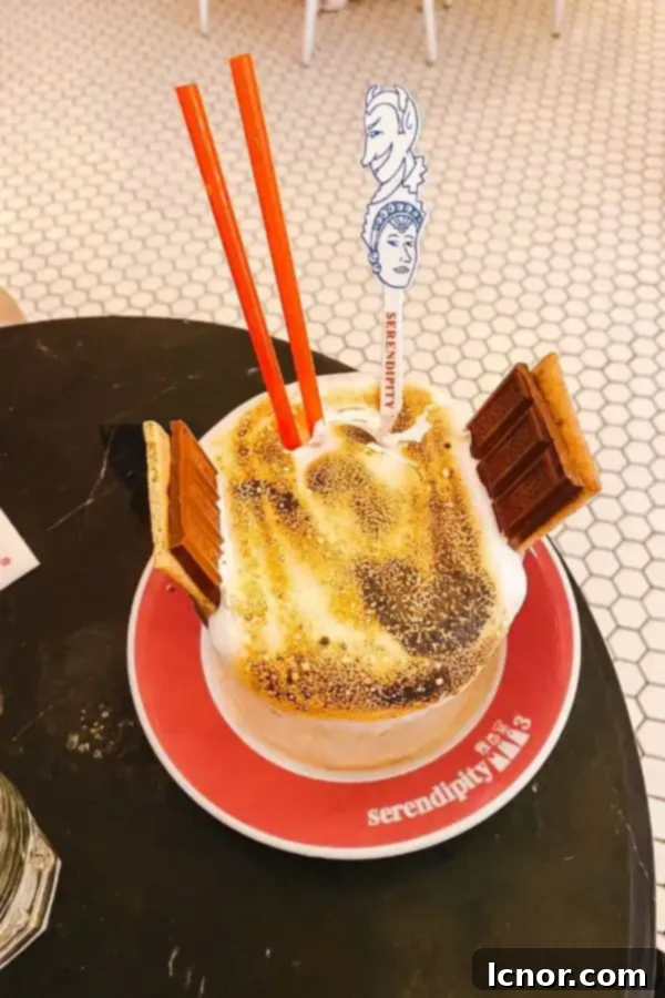 Serendipity's famous Frrrozen Hot Chocolate (s'mores version) with marshmallows and chocolate drizzle.