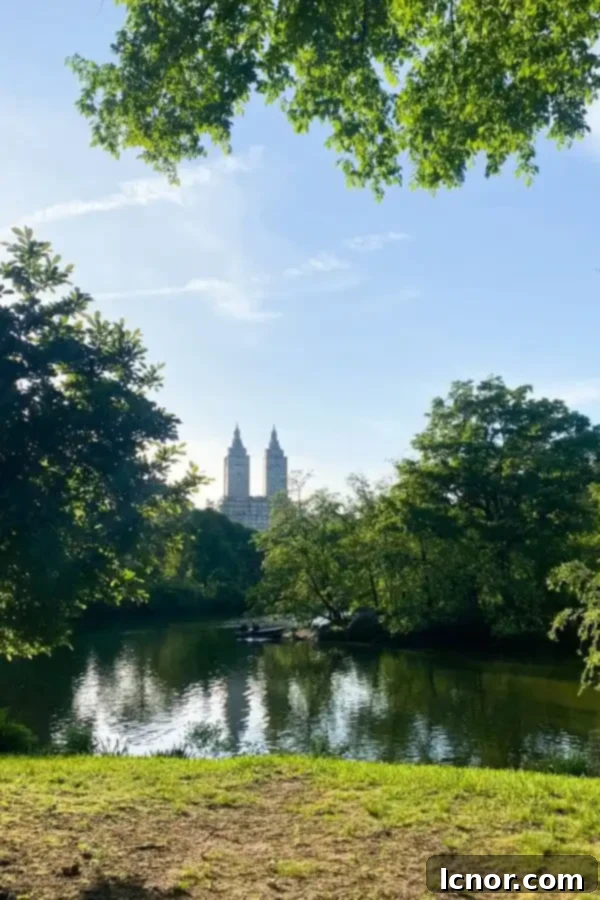 Scenic view of Central Park in New York City with trees and city buildings in the background.