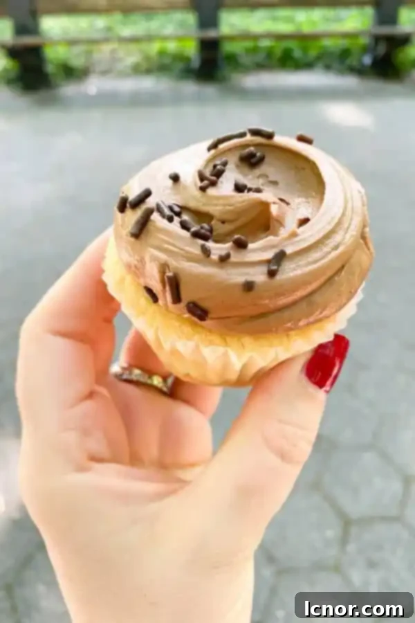 A delicious chocolate and vanilla cupcake with chocolate sprinkles from Magnolia Bakery.