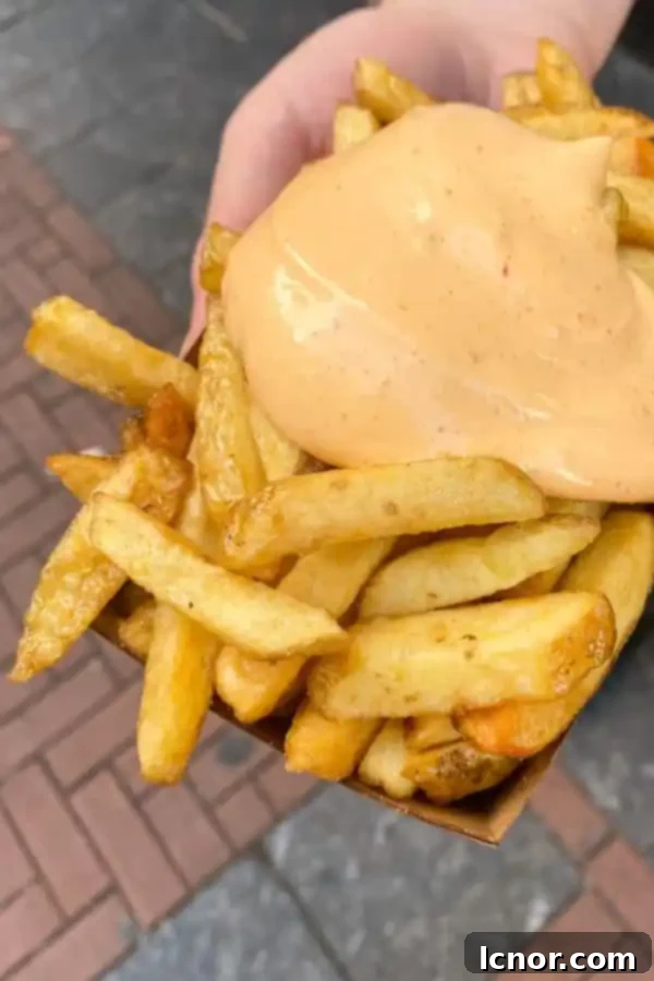 Delicious Fabel Friet with spicy mayonnaise, a must-try snack during your 2 days in Amsterdam