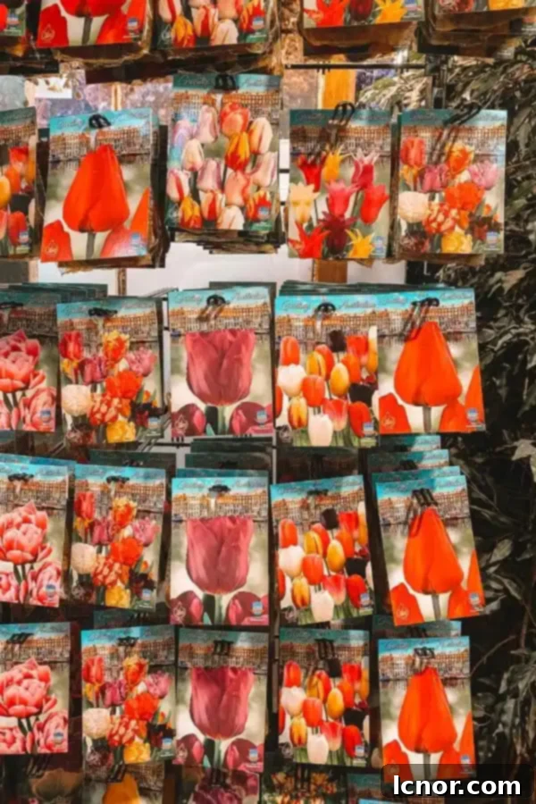 Colorful tulip bulb packets at Amsterdam's floating flower market, ideal souvenirs