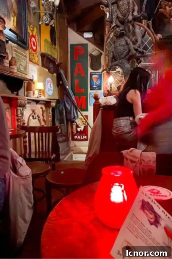 Interior ambiance of In't Aepjen with a person sitting on a bar stool, showcasing the cozy lighting and traditional decor.