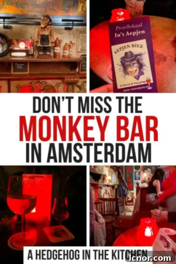 Pinterest pin graphic featuring the exterior of In't Aepjen and the text 'Monkey Bar Amsterdam (In’t Aepjen) PIN'.