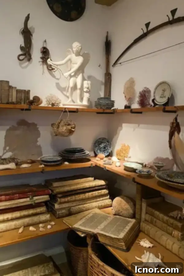 antique books, statues and objets at the Rembrandt Museums Amsterdam, the Netherlands