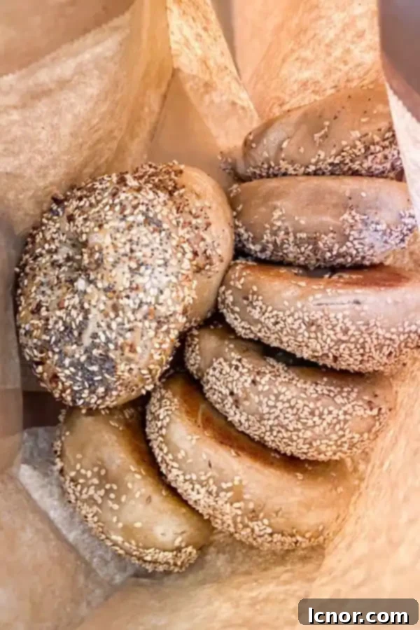 A freshly made bagel sandwich from Breadwinner Amsterdam, perfectly crafted and ready to be enjoyed.