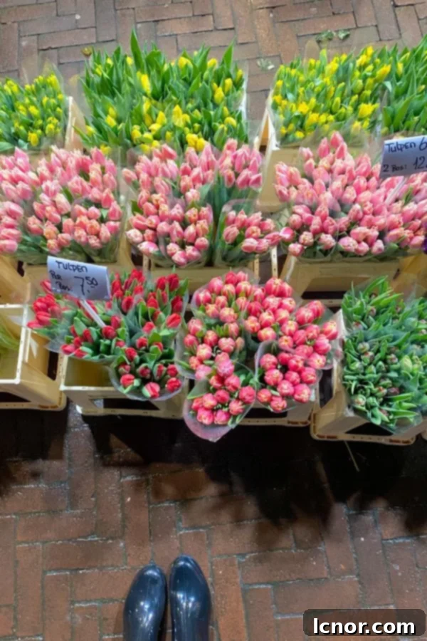 Amsterdam bucket list, tulips at the flower market