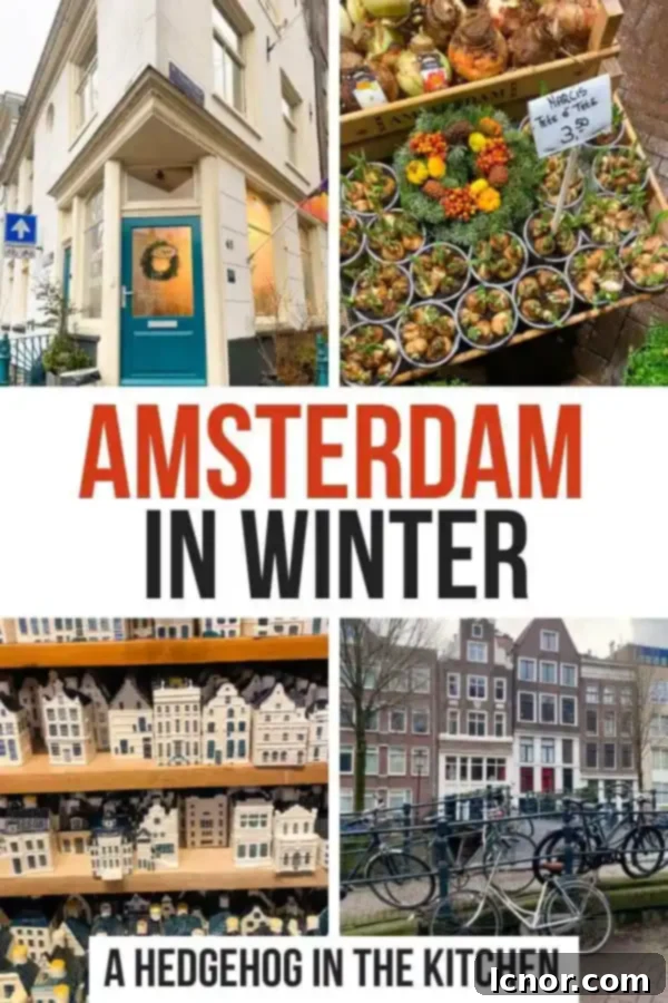 Amsterdam canals covered in light snow in winter, showcasing the city's unique charm