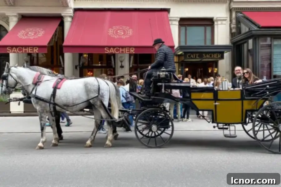 best horse drawn carriage ride in Vienna Riding Dinner Sacher Edition