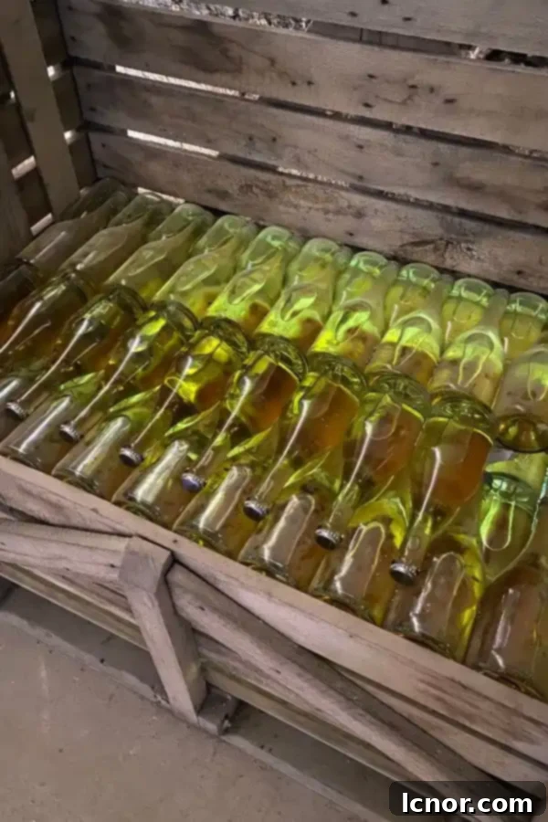 bottles of Schlumberger wine at a wine tasting in Vienna Austria