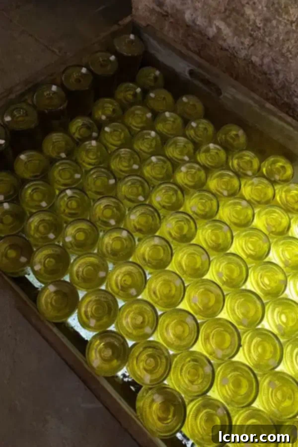bottles of sparkling wine in Vienna, wine cave tour with audio guide and wine tasting, Schlumberger Wine Cellar
